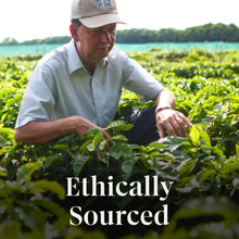 StarbucksHolidayBlendCoffeeK-Cups-64ct-2-_6 - Brands For Less USA