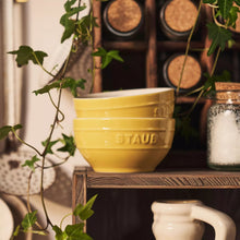Staub_Stoneware_Bowls_Set_of_2_3 - Brands For Less USA