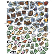 Sticker By Number: Vintage Forest, Paperback