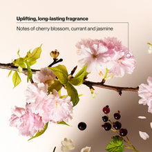 SuaveWildCherryBlossomMoisturizingBodyWashwithGlycerin_VitaminE_30FLOZPump2_22d12bc6-abd7-4135-87a8-bcb2a7356b09 - Brands For Less USA