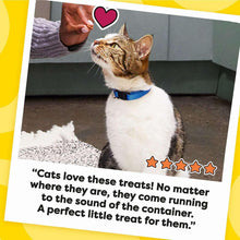 TEMPTATIONSCatTreatsVarietyPackwithTastyChickenFlavor-CatnipFever-Surfers-Delight-16oz-3tubs3-_11 - Brands For Less USA