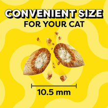 TEMPTATIONSCatTreatsVarietyPackwithTastyChickenFlavor-CatnipFever-Surfers-Delight-16oz-3tubs7-_7 - Brands For Less USA
