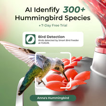 TTNatureSmartGlassHummingbirdFeederwithCamera_2KHDVideoSolarPowered_AIBirdIdentification_AntMoat_WaterMonitor_IdealGift7 - Brands For Less USA