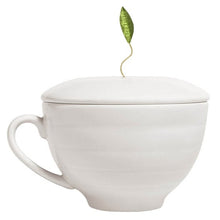 Tea Forté Keepsake Bundle with 26 Pyramid Infusers, 1 Café Cup and Tea Trays