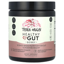 TerraOrigin_HealthyGut_Berry_8.57oz_243g - Brands For Less USA