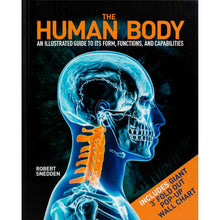 The Human Body, Hardcover