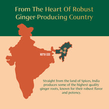 VAHDAM, Jengibre orgánico en polvo (2.47 oz) Sin OGM, Hecho con raíz de jengibre 100 % cruda, Directo de la fuente 