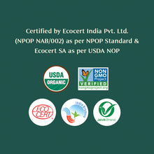 VAHDAM, Cúrcuma orgánica en polvo (2.47 oz), sin gluten, especia de origen único, directamente de la fuente 