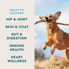 VETIQ-8-In-1-Multi-Benefit-Soft-Dog-Chews-Hickory-Smoke-Flavored-60-ct-2-pk-2-_5 - Brands For Less USA