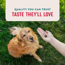 VETIQ-8-In-1-Multi-Benefit-Soft-Dog-Chews-Hickory-Smoke-Flavored-60-ct-2-pk-3-_4 - Brands For Less USA