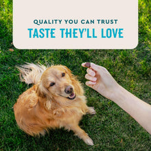 VETIQMaximumStrengthHip-JointSoftDogChews-ChickenFlavored-180ct-3-_7 - Brands For Less USA