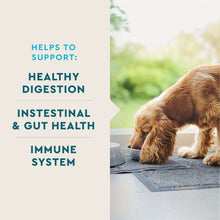 VETIQ Probiotic Soft Dog Chews, Hickory Smoke Flavored 60 ct., 2 pk.