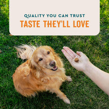 VETIQSkin-CoatSoftDogChews-HickorySmokeFlavored-60ct-2pk-2-_4 - Brands For Less USA
