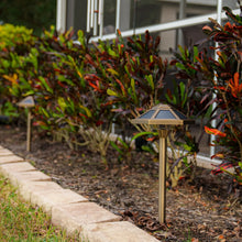 VOLT Premium Solid Brass Outdoor Solar Path Lights, 2-pack