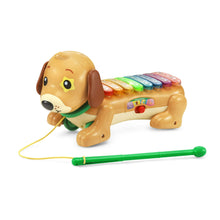 VTechZooJamzDoggyXylophonewithAccessories_BabyandToddlerToys - Brands For Less USA