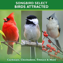 Vibrant-Life-20-Birdwatchers-Bir3 - Brands For Less USA