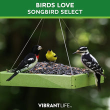 Vibrant-Life-20-Birdwatchers-Bir5 - Brands For Less USA