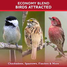Vibrant-Life-5-Economy-Bird-Seed3 - Brands For Less USA