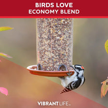 Vibrant-Life-5-Economy-Bird-Seed5 - Brands For Less USA