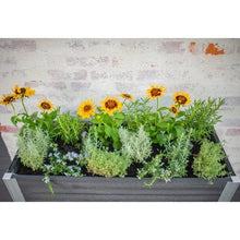 Vita_Urbana_Greens_Elevated_Garden2 - Brands For Less USA