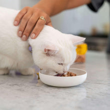 WellnessGoodKittyWetCatFoodPateVarietyPack-3oz-24-count6-_5 - Brands For Less USA