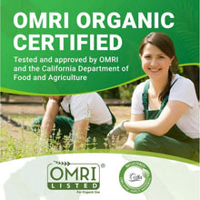 Wiggle-Worm-Pure-Organic-Worm-Ca2 - Brands For Less USA