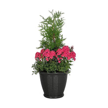 WillowWickerDecorativePlante2 - Brands For Less USA