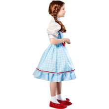 Wizard of Oz Dorothy Children's Costume