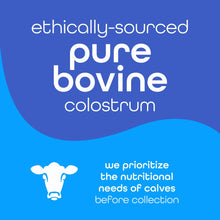 Zena Nutrition Colostrum Premium Powder, Gluten Free, Unflavored, 1000mg, 30 Servings
