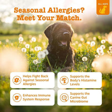 ZestyPawsAllergy-Immune-Salmon-160ct-2-_4 - Brands For Less USA