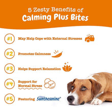 ZestyPawsCalmingPlusBites-Turkey-160ct-3-_4 - Brands For Less USA