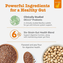 Zesty Paws Probiotic Bites, Pumpkin, 160 ct. - Brands For Less USA