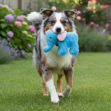 ZeusSafariXXLToughDogToys_2-count2 - Brands For Less USA