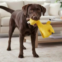 ZeusSafariXXLToughDogToys_2-count4 - Brands For Less USA