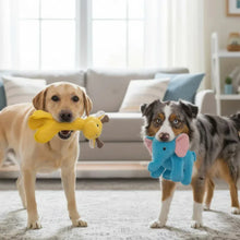 ZeusSafariXXLToughDogToys_2-count - Brands For Less USA