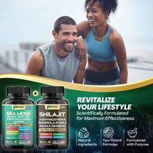 Zoyava Sea Moss and Shilajit Supplement Bundle, Multi-Ingredient Capsules, 60 Count