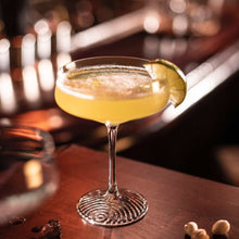 Zwiesel Echo Coupe Cocktail Glasses 9.4oz, Set of 4