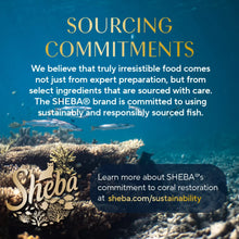 Sheba Perfect Portions Kitten Variety Flavors Pate Wet Cat Food, 2.6 oz Twin-Pack Trays (12 Pack)