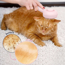 BEBANG Cat Steam Brush 3 in 1, One-Click Hair Removal Brush with Steam for Cats and Dogs