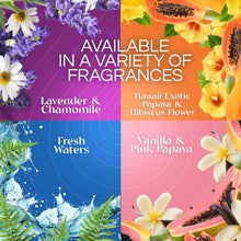 Air Wick Plug-In Scented Oil Air Freshener Warmer Refills, Lavender and Chamomile, 6 Count - Brands For Less USA