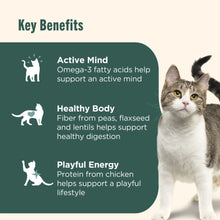 Nutrish Indoor Complete Chicken, Lentils & Salmon Recipe Dry Cat Food (Rachael Ray)