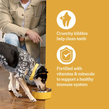 Pedigree High Protein Adult Dry Dog Food, Beef and Lamb Flavor