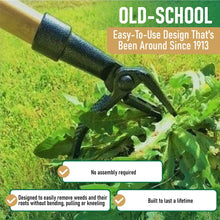 Grampa's Weeder - The Original Stand Up Weed Puller Tool With Long Handle - Made With 4-Claw Steel Head Design - Easily Remove Weeds Without Bending, Pulling, or Kneeling - Brands For Less USA