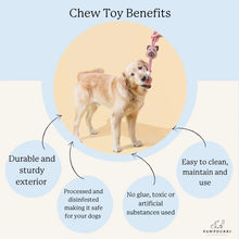 Juguete masticable de cuerda y cebra marrón Pawpourri para perros y gatos