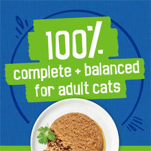 Purina Friskies Pate Seafood Favorites Variety Pack, Wet Cat Food, 5.5 oz Cans, 32 Pack