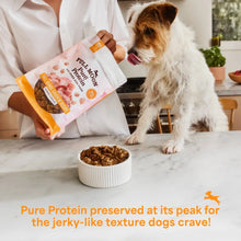 Full Moon Air Dried Beef Dog Food (Premium Feed, 16 Ounces)