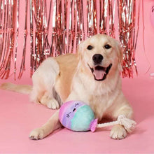 Happy Barkday Birthday Girl Box Dog Toy Bundle, 6-Piece Set (Pink)