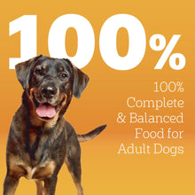 Pedigree High Protein Adult Dry Dog Food, Beef and Lamb Flavor