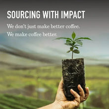 Peet's Coffee Cafe Domingo Premium Medium Roast Ground Coffee, Arabica, 10.5 oz - Brands For Less USA