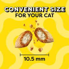 Temptations Mixups Surfer'S Delight Flavor Crunchy And Soft Cat Treats